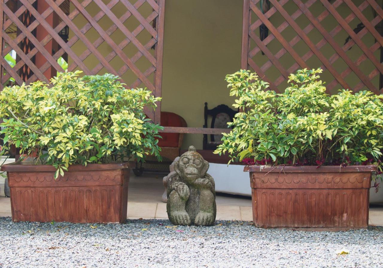 Hotel Arte Natura La Fortuna Εξωτερικό φωτογραφία