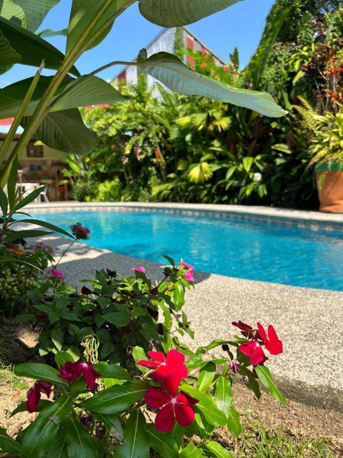 Hotel Arte Natura La Fortuna Εξωτερικό φωτογραφία